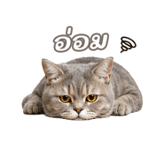 842568868