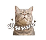 842568870