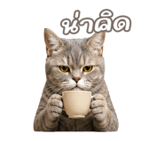 842568872