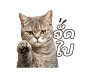 842568874