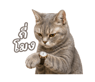 842568880