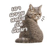 842568882
