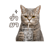 842568885