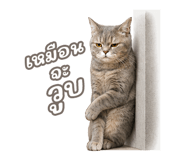842568891