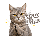 842568893