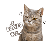 842568895
