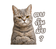 842568898