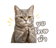 842568900