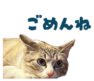 842569026