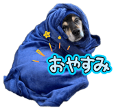 842569131