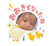842569323