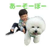 842569394