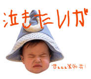 842569451