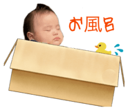 842569462