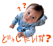 842569468