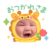 842569491