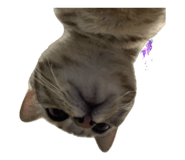 842569995