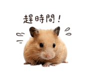 842572255