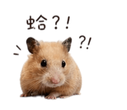 842572258