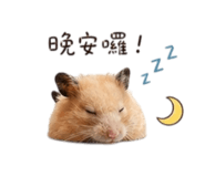 842572259