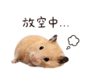 842572261