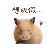 842572264