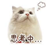 842572432