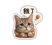 842572675