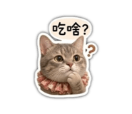 842572676