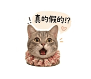 842572680