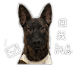 842572924