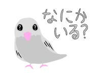 842573455
