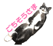842573756