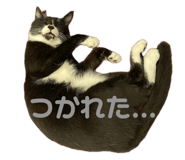 842573757