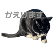 842573765