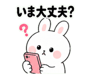 842574412
