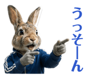 842574726