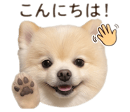 842574731
