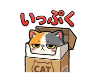 842574844