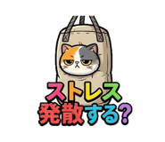 842574851
