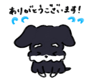 842575074