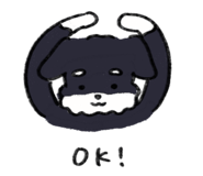 842575084