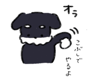842575096