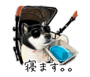 842575290