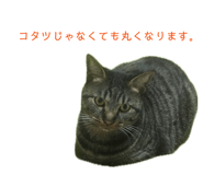 842575485