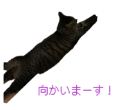 842575486