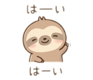 842575575
