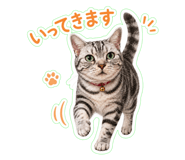 842575582