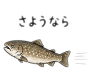 842575659