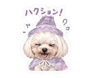 842575688